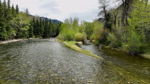 23 Moose Haven Loop, Mcleod, MT, 59052 | Card Image