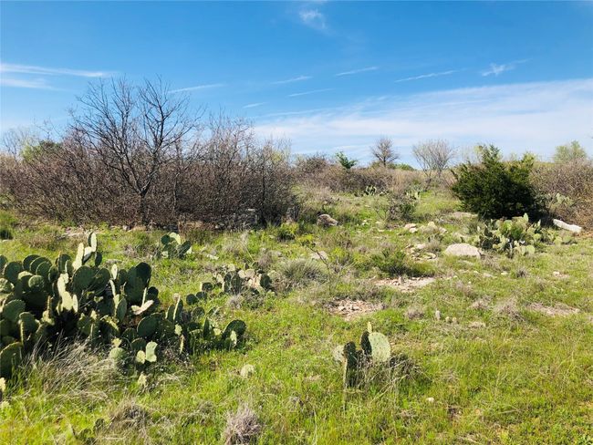 Abundant rock and cactus are ready made landscaping materials! | Image 5