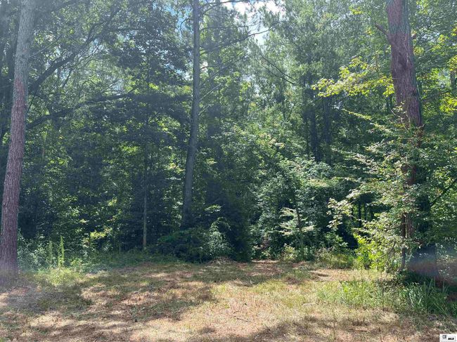 000 Highway 146, Home with 0 bedrooms, 0 bathrooms and null parking in Ruston LA | Image 17
