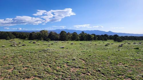 60 Colorado Ave, Gardner, CO, 81040 | Card Image