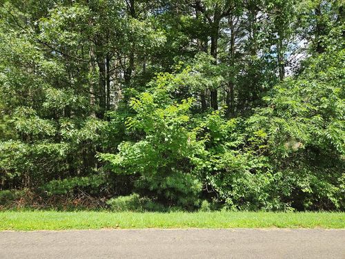 TBD Holly Run, Glade Valley, NC, 28627 | Card Image