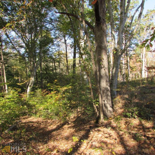 TRACT 2 Coldwater Creek Rd, Home with 0 bedrooms, 0 bathrooms and null parking in Dewy Rose GA | Image 12