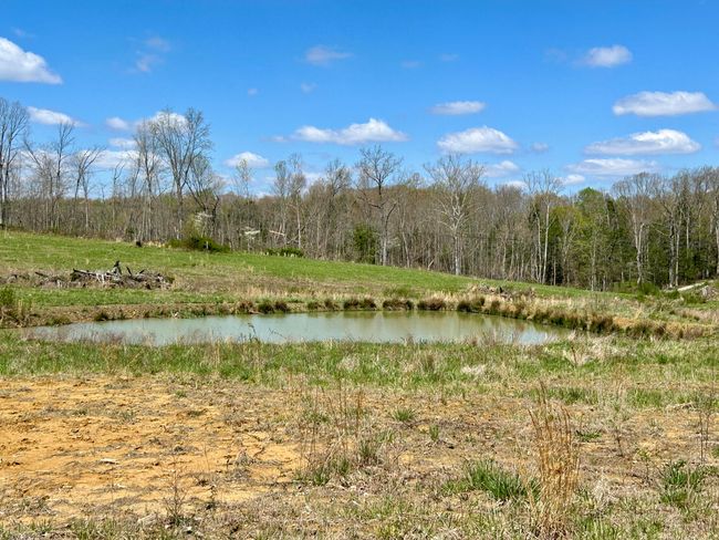 428 Dick Wilson Rd, Home with 0 bedrooms, 0 bathrooms and null parking in Strunk KY | Image 16