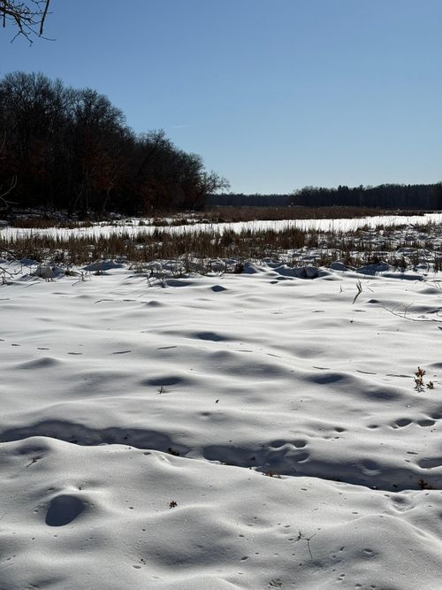 XXX Saylors Lane, Siren, WI, 54872 | Card Image