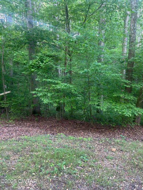 0 Cedar Ln, Sugar Tree, TN, 38380 | Card Image