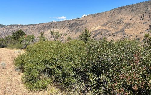 Lot 40 Peregrine Hts, Klamath Falls, OR, 97601-9494 | Card Image