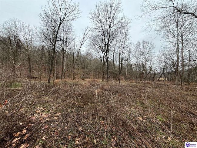 627 New State Rd, Home with 0 bedrooms, 0 bathrooms and null parking in Webster KY | Image 10