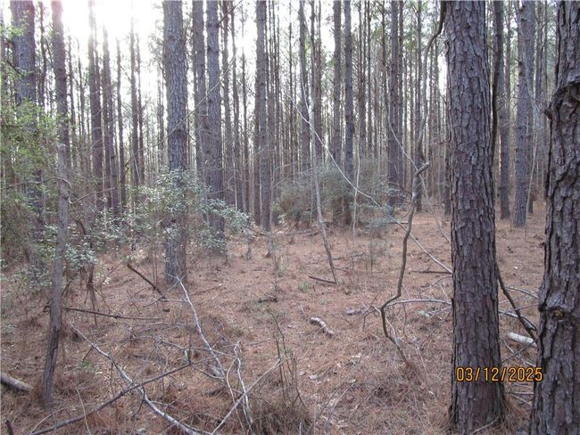 0 Obie Smith Road, Home with 0 bedrooms, 0 bathrooms and null parking in Atlanta LA | Image 12