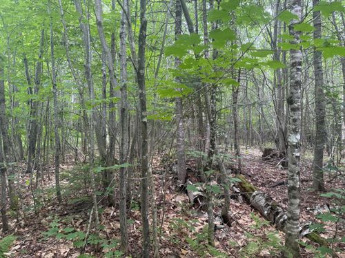 R1 L12 Hovey Rd, Farmington, ME, 04938 | Card Image