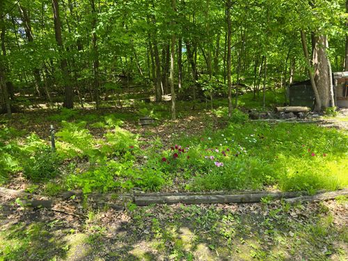 tbd 280th Ave, Detroit Lakes, MN, 56501 | Card Image