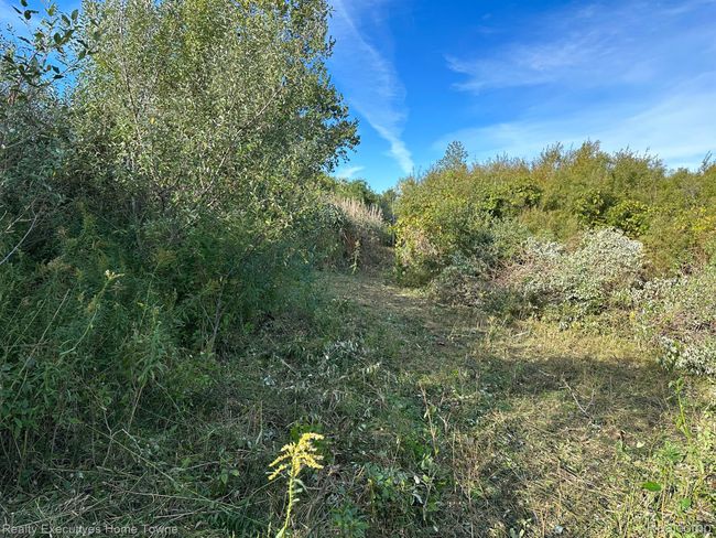 000 Wildcat Rd, Home with 0 bedrooms, 0 bathrooms and null parking in Jeddo MI | Image 10