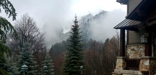 8807 N Timphaven Rd, Sundance, UT, 84604-4931 | Card Image