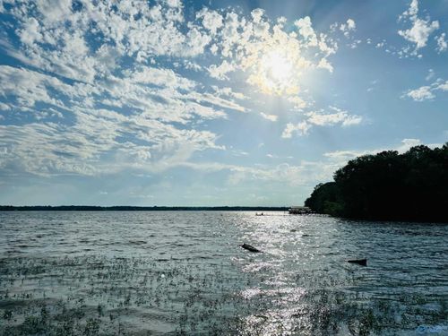 13-177 County Road 1043, Centre, AL, 35960-6061 | Card Image