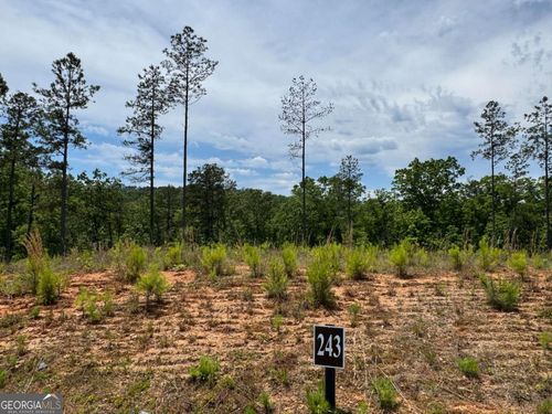 LOT 243 Spear Point Drive, Talking Rock, GA, 30175 | Card Image