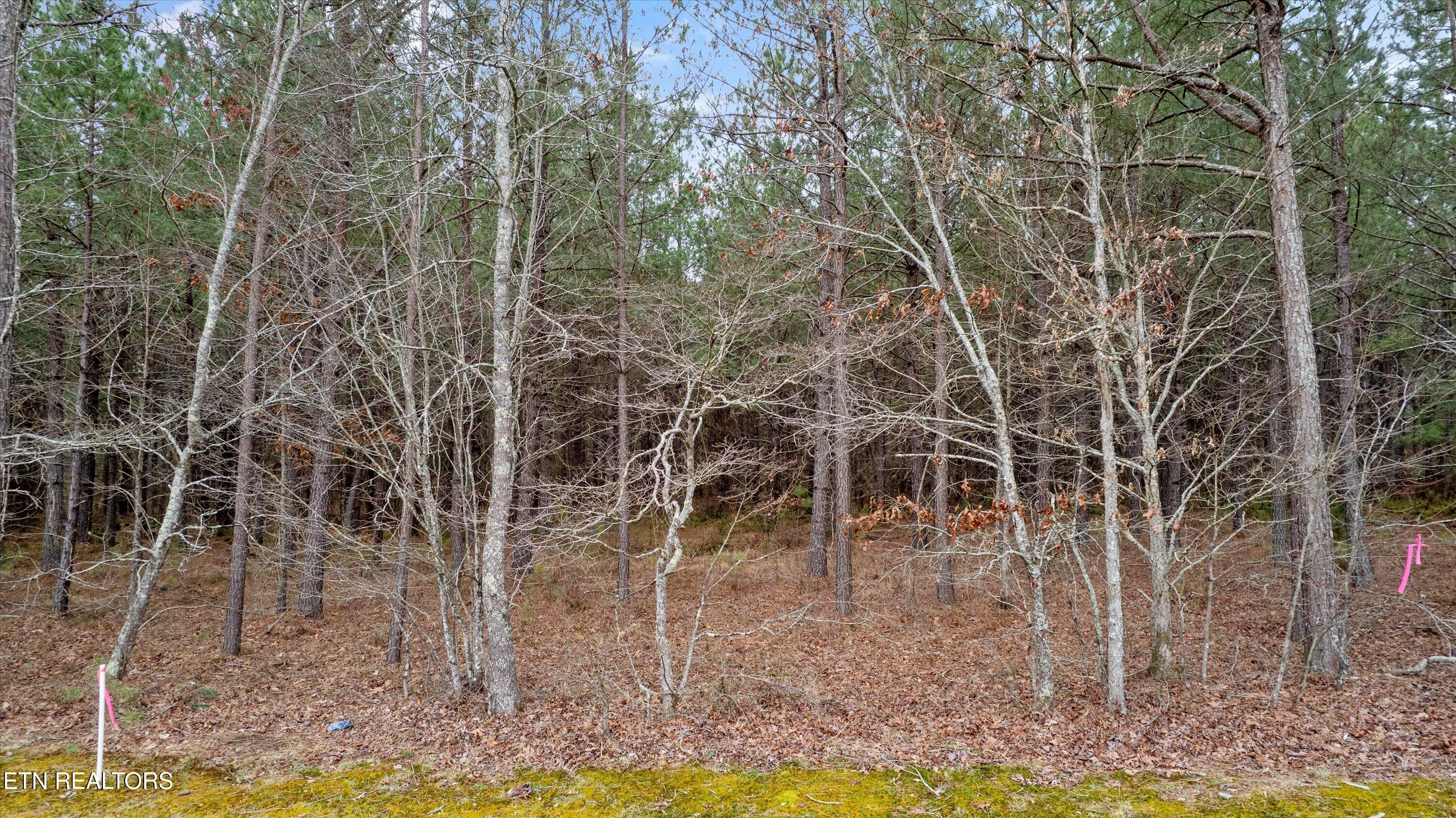 Land in Sunbright 4