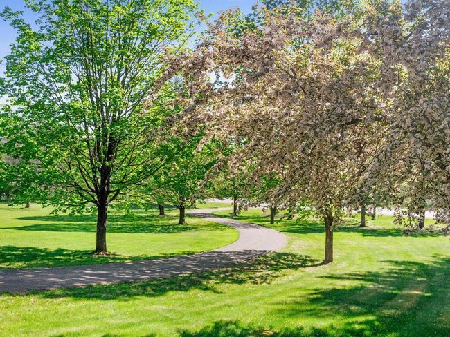 A tree-lined driveway creates a warm welcome for you and your guests, adding to the home’s peaceful, parklike feel. | Image 4
