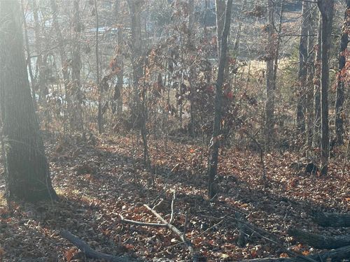 17 Wagon Creek Loop, Creal Springs, IL, 62922 | Card Image