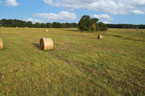 parcel-3-000 E Farm Road 68, Strafford, MO, 65757 | Card Image