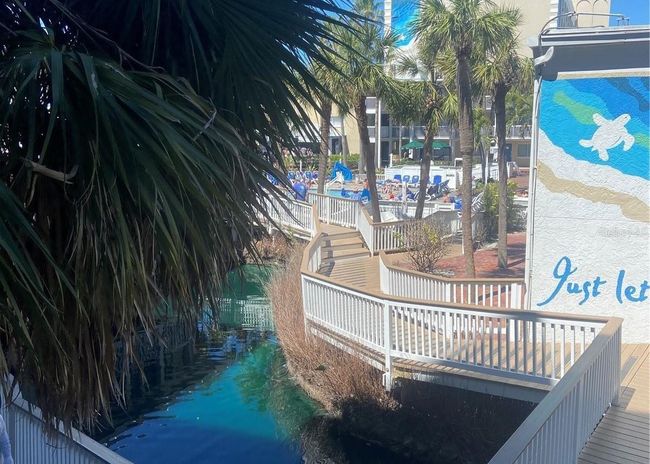 2229 - 5500 Gulf Blvd, Condo with 1 bedrooms, 1 bathrooms and null parking in ST PETE BEACH FL | Image 14