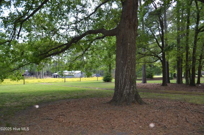 4040 N Nc 903 Hwy, House other with 4 bedrooms, 6 bathrooms and 3 parking in Albertson NC | Image 27
