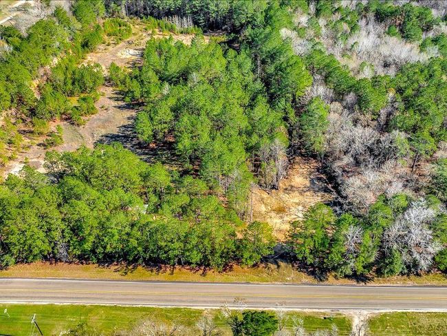 This aerial photo showcases a large, wooded lot with dense greenery and mature trees. A paved road runs along the front, providing easy access. Ideal for those seeking privacy and a natural setting. | Image 4