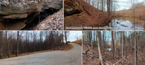 crown-wildlife-tract-1-24 Garland Creek Rd, Crown City, OH, 45623-9354 | Card Image