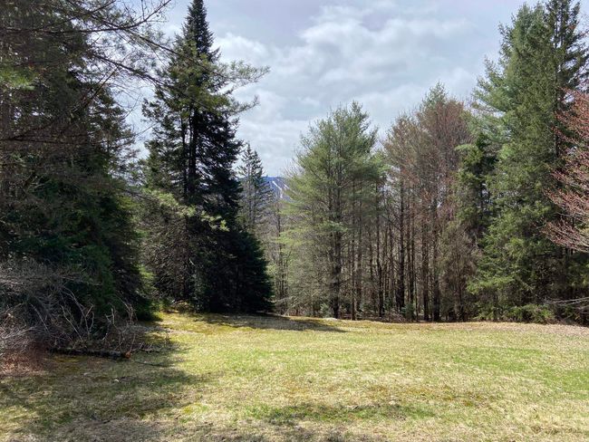 1993 Carter Road, House other with 2 bedrooms, 0 bathrooms and null parking in Burke VT | Image 17