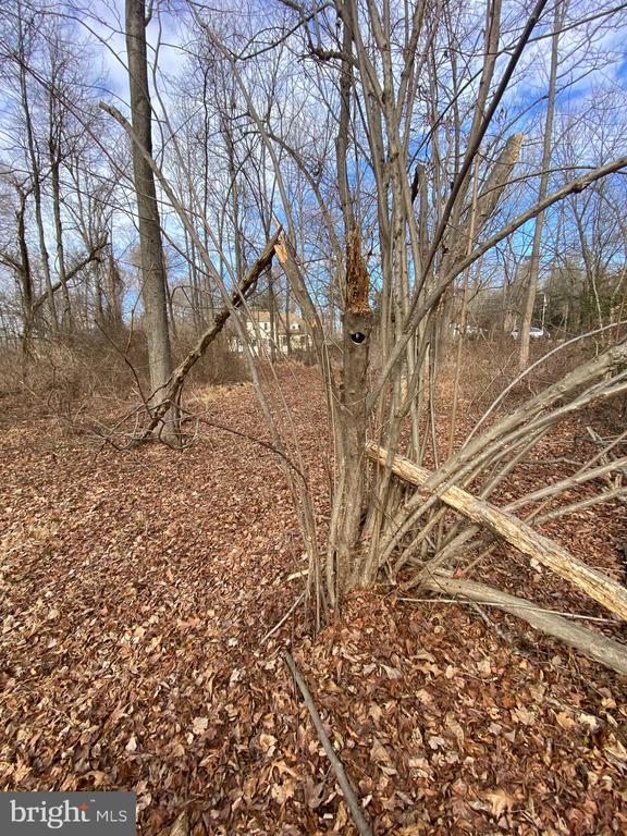 Residential in MOUNT LAUREL