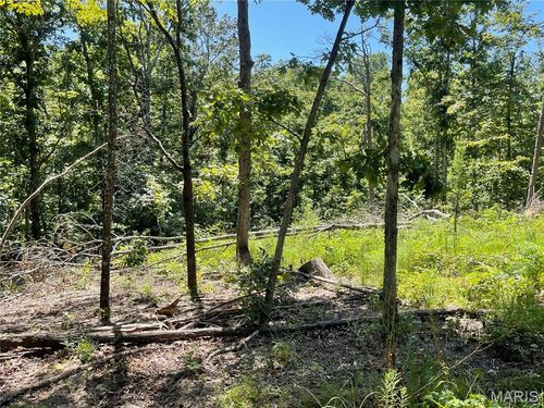 000 County Road 456, Piedmont, MO, 63957 | Card Image