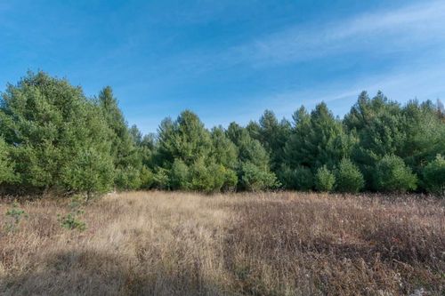 0000 E Bellinger Rd, Cedar, MI, 49621 | Card Image