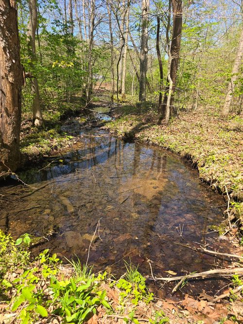 4149 Highway 49, Tennessee Ridge, TN, 37178-6029 | Card Image