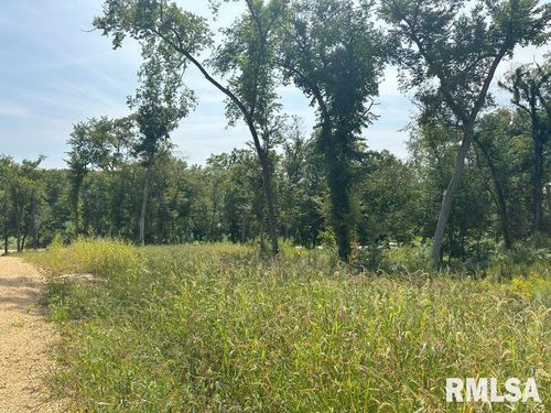 Lot 1 Springbrook Rd, De Witt, IA, 52742 | Card Image