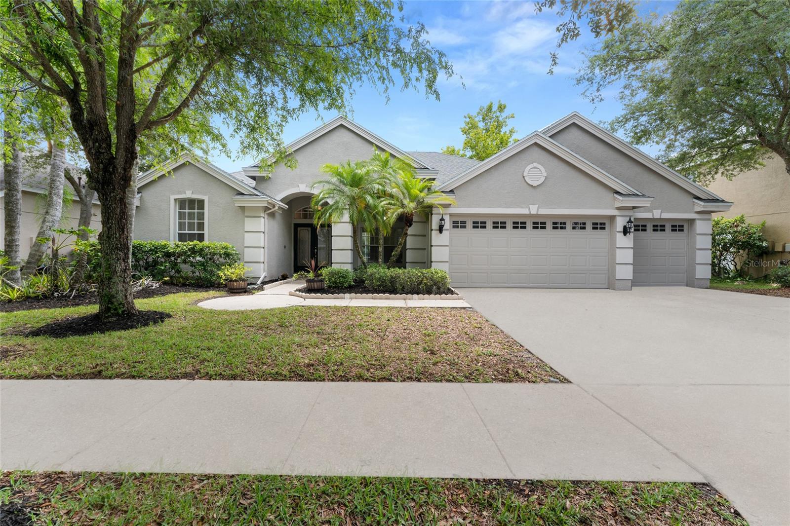 Autumn Woods Ave, Tampa, FL 33647