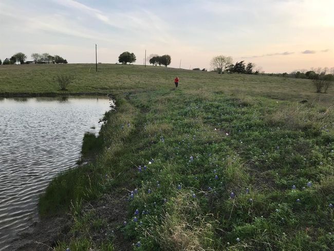5796 Hurtig Rd, Home with 0 bedrooms, 0 bathrooms and null parking in Bleiblerville TX | Image 12