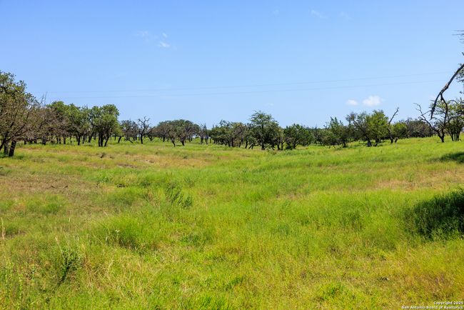 2250 Otte Rd, Home with 2 bedrooms, 2 bathrooms and null parking in Stonewall TX | Image 31