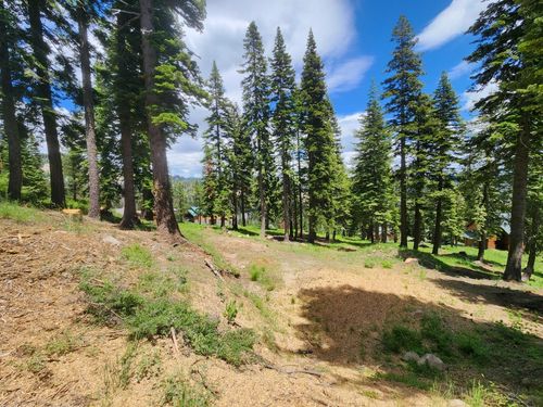 332 Snowshoe Rd, Bear Valley, CA, 95223 | Card Image