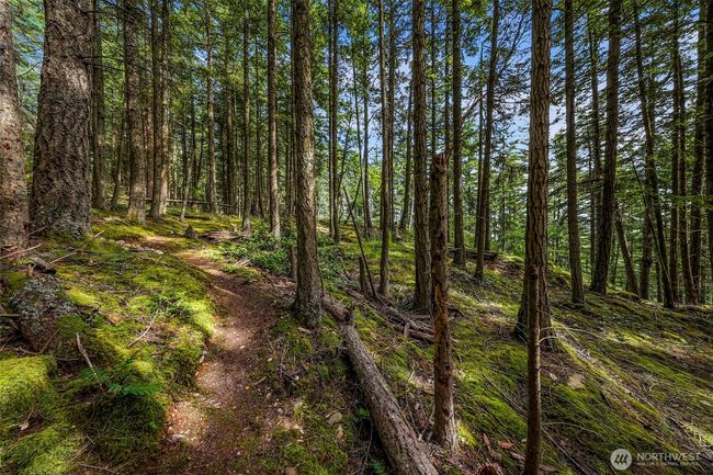 3071 Hales Passage Dr, Home with 0 bedrooms, 0 bathrooms and null parking in Lummi Island WA | Image 13