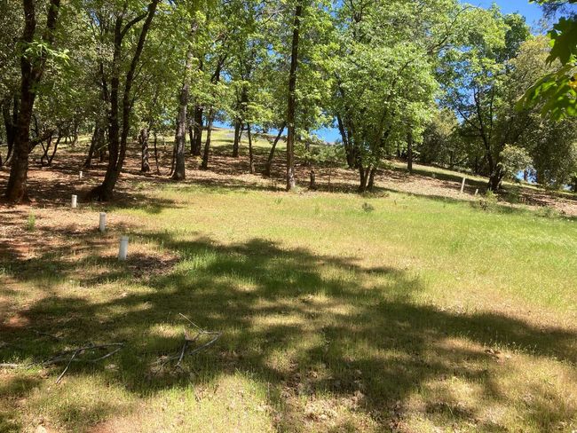 16688 Sonshine Ln, Home with 0 bedrooms, 0 bathrooms and null parking in Sutter Creek CA | Image 5