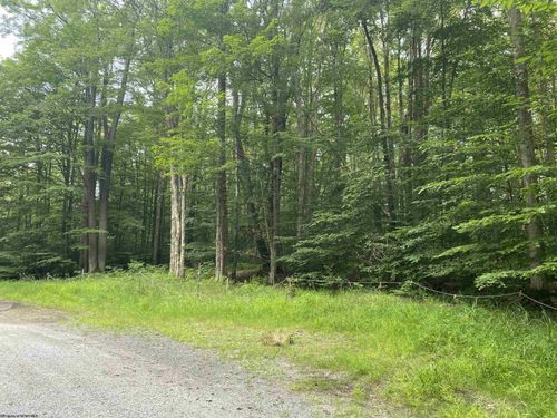 lot 42 Bobcat Rd, Davis, WV, 26260 | Card Image