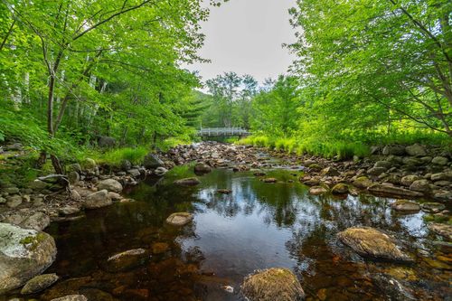 lot-1438 River Rd, Bear River, NS, B0S1B0 | Card Image