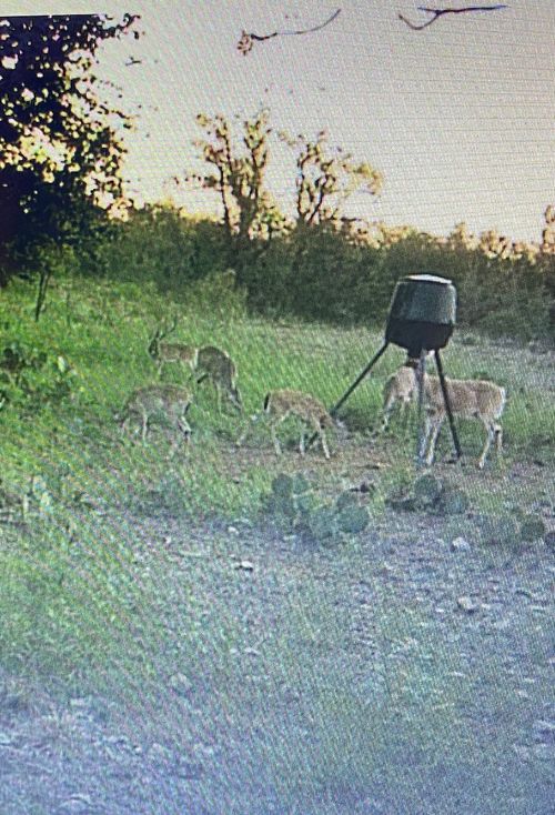 TBD County Road 225, Brookesmith, TX, 76827 | Card Image