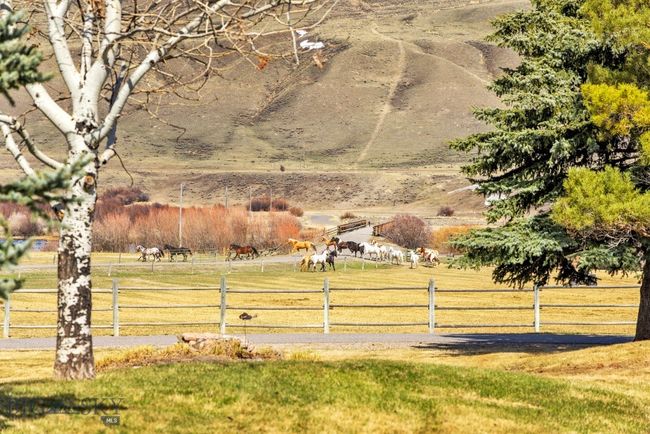 19 S Sun West Rd, Home with 0 bedrooms, 0 bathrooms and null parking in Cameron MT | Image 41