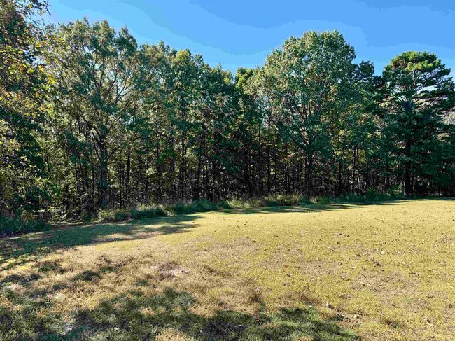 1660 Knob Creek Rd, House other with 3 bedrooms, 2 bathrooms and null parking in Melbourne AR | Image 31