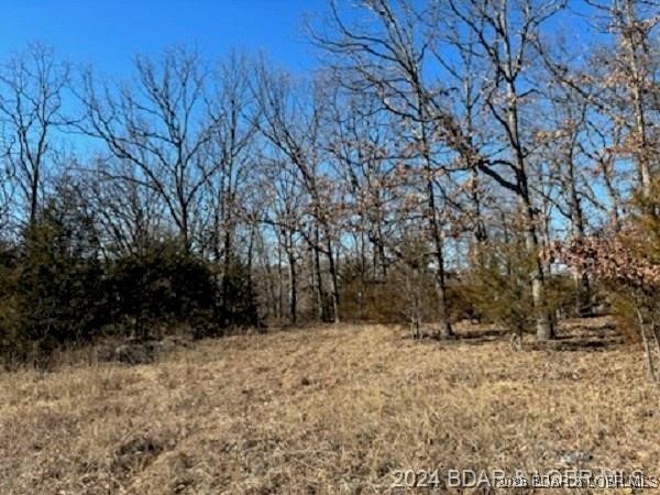 Land in Camdenton