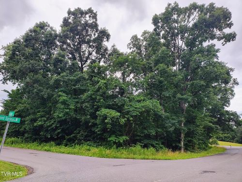 Lot 16 Easley Dr, Kingsport, TN, 37664 | Card Image