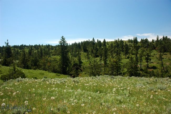 SC-25 - TBD Lone Rock Canyon Lane, Home with 0 bedrooms, 0 bathrooms and null parking in Hysham MT | Image 52