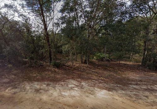 0 David Ave, Interlachen, FL, 32148 | Card Image
