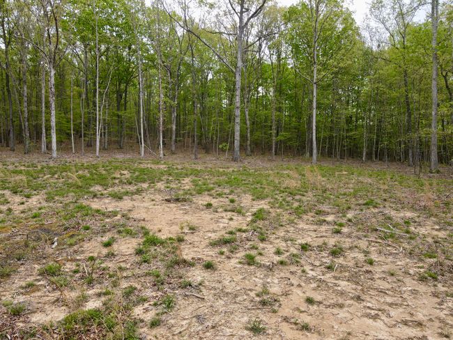 0 Deerwood Dr, Home with 0 bedrooms, 0 bathrooms and null parking in Sewanee TN | Image 25