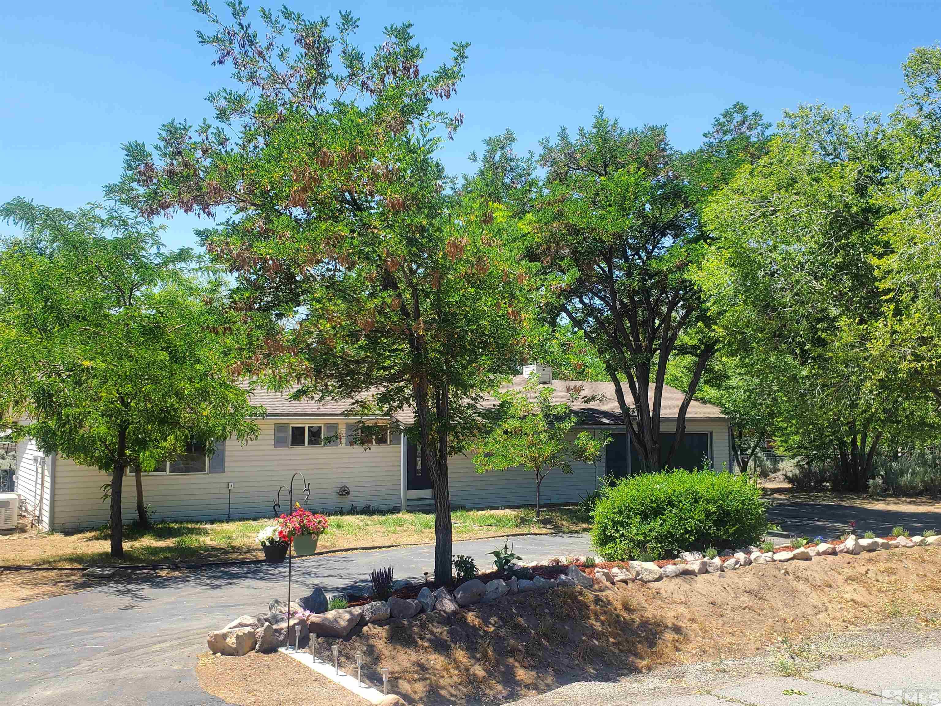Esmeralda Dr, Washoe Valley, NV 89704
