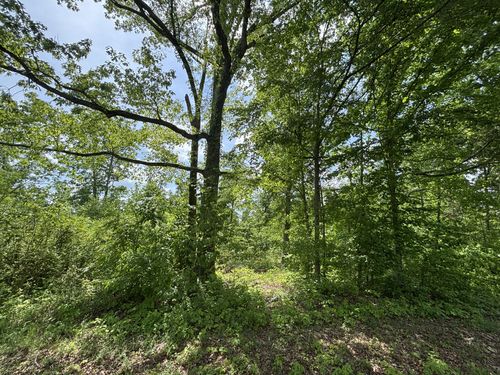 0 Joslin Branch Rd, White Bluff, TN, 37187 | Card Image